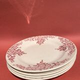 Set of 5 flat plates Iron Earth