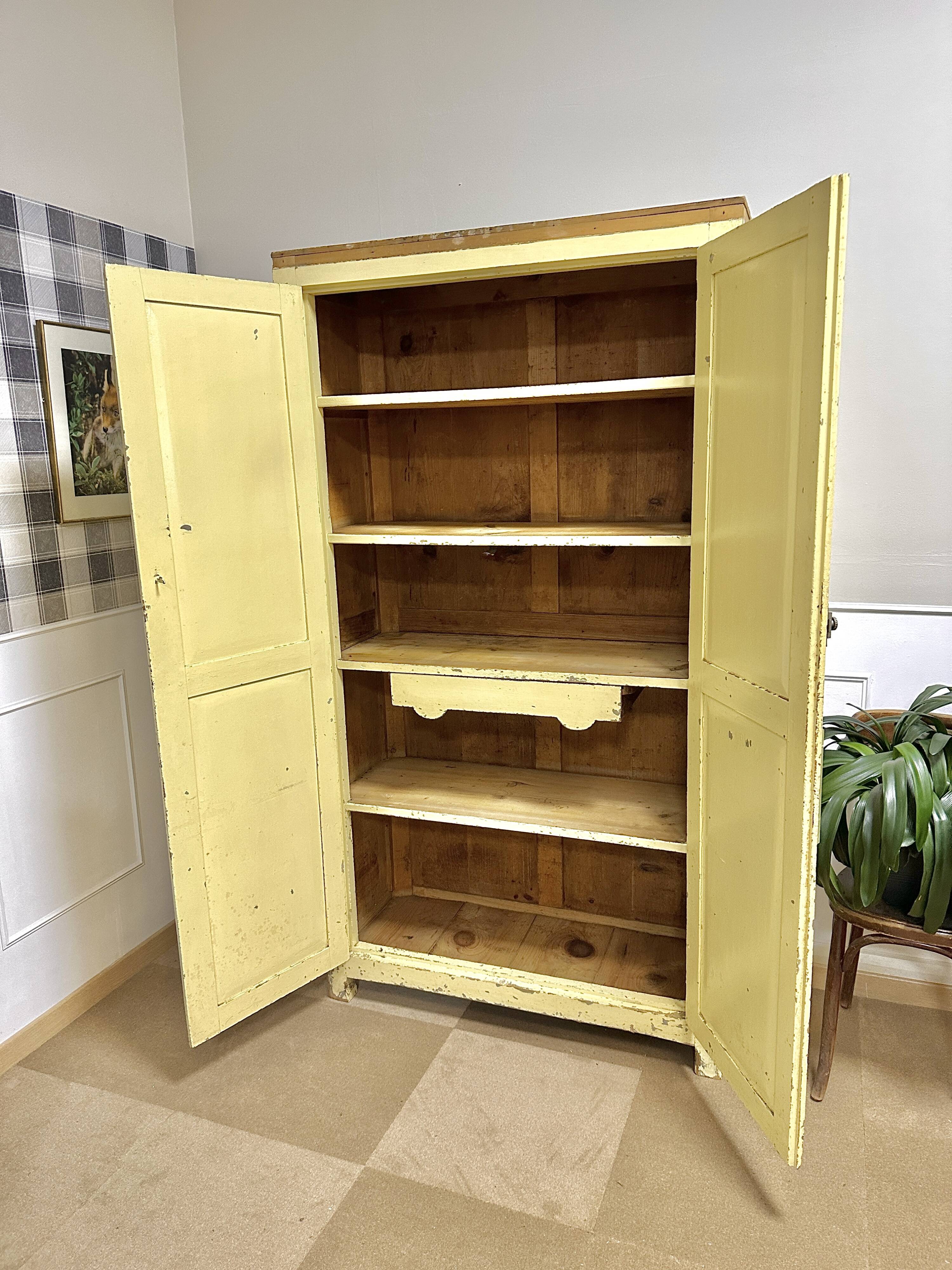 Parisian wardrobe patinated paint