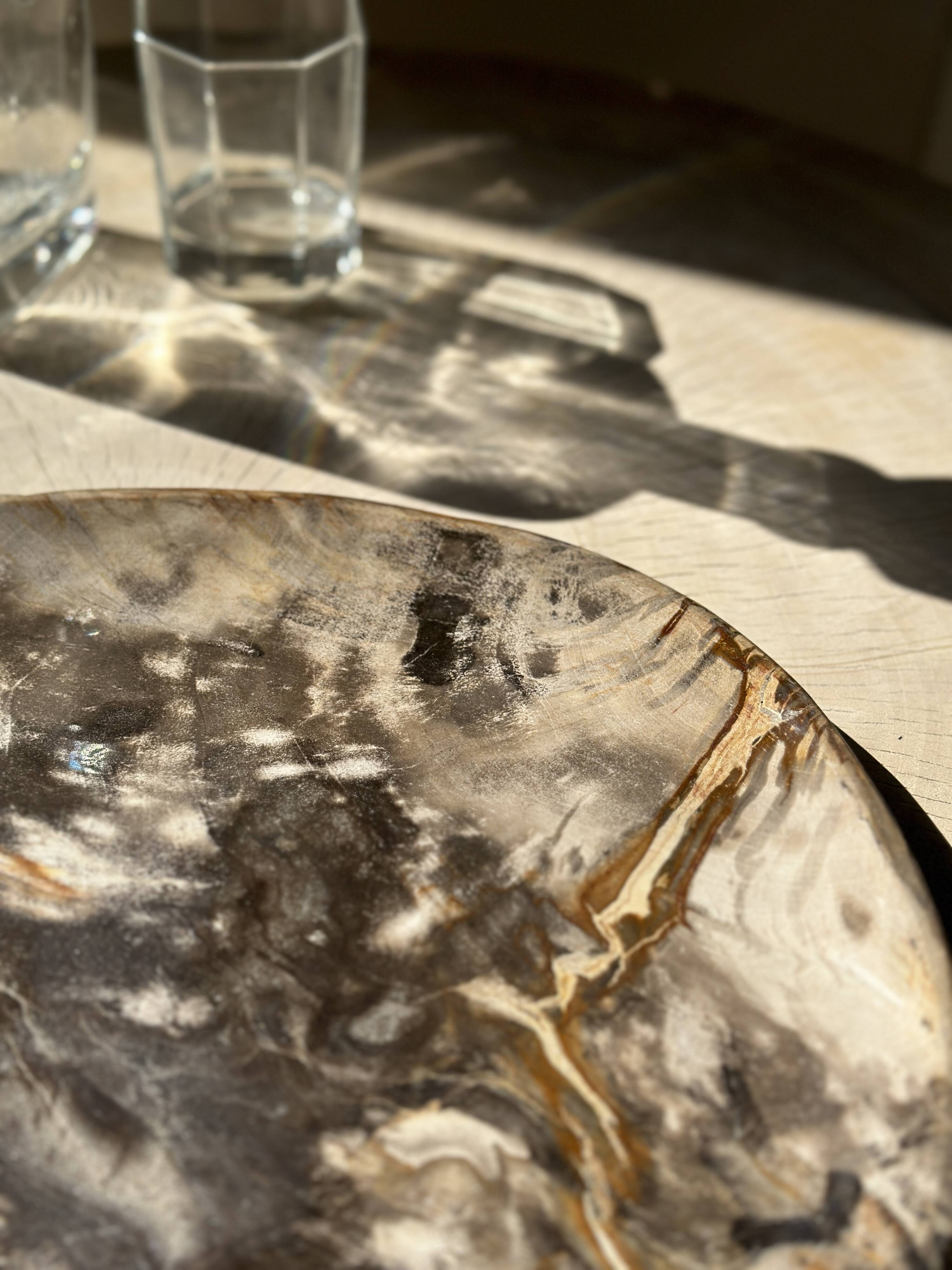 Very large pocket or dish in petrified wood