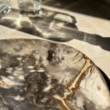 Very large pocket or dish in petrified wood