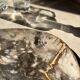 Very large pocket or dish in petrified wood