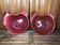 Pair of red ceramic hen dish