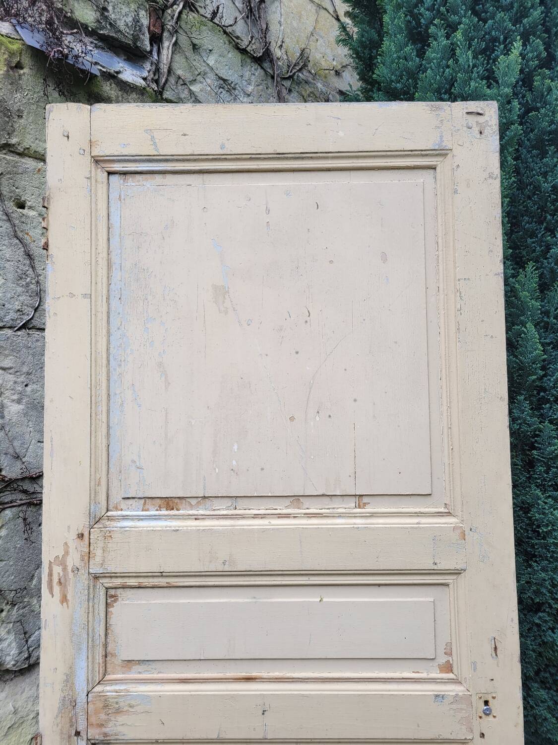 Old wardrobe door 91x H209