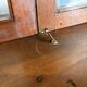 Exceptional William IV Apothecary Cabinet / Chemist Shop Counter Circa 1830