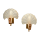 Frosted glass shell wall lamps