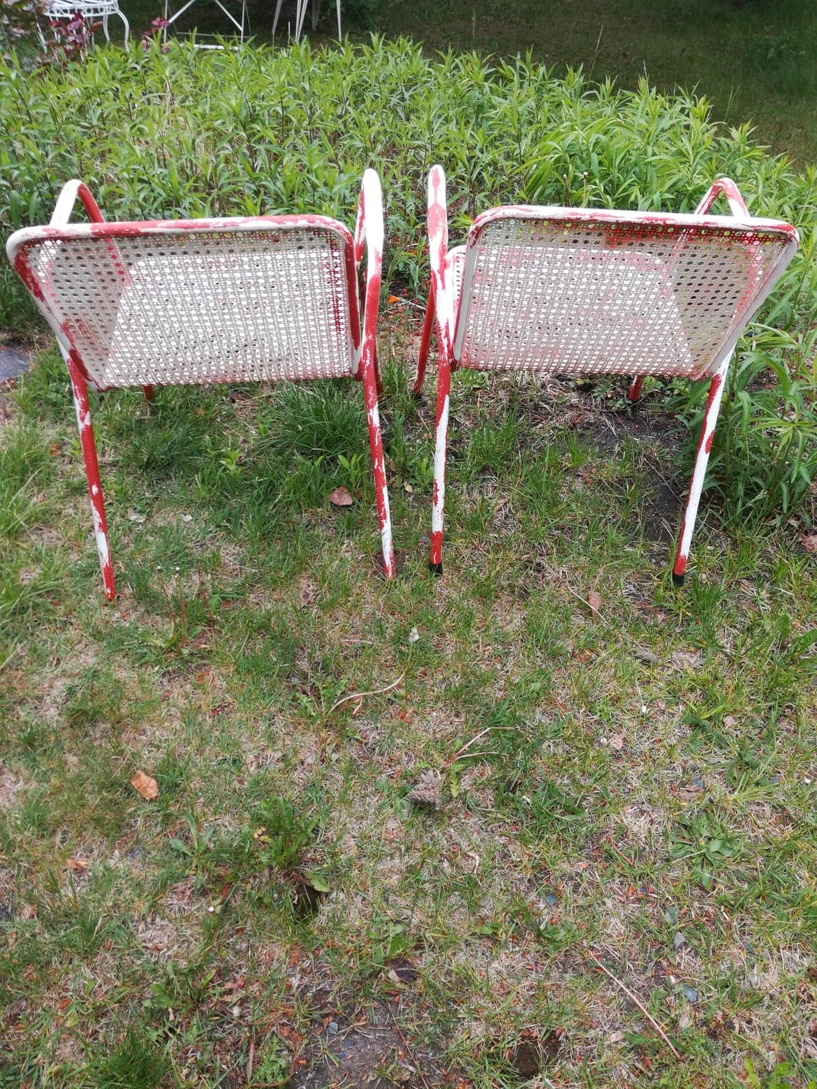 Pair of armchairs EMU 1950