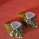 Shell ashtrays