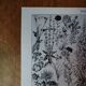 Lithographie originale sur les fleurs