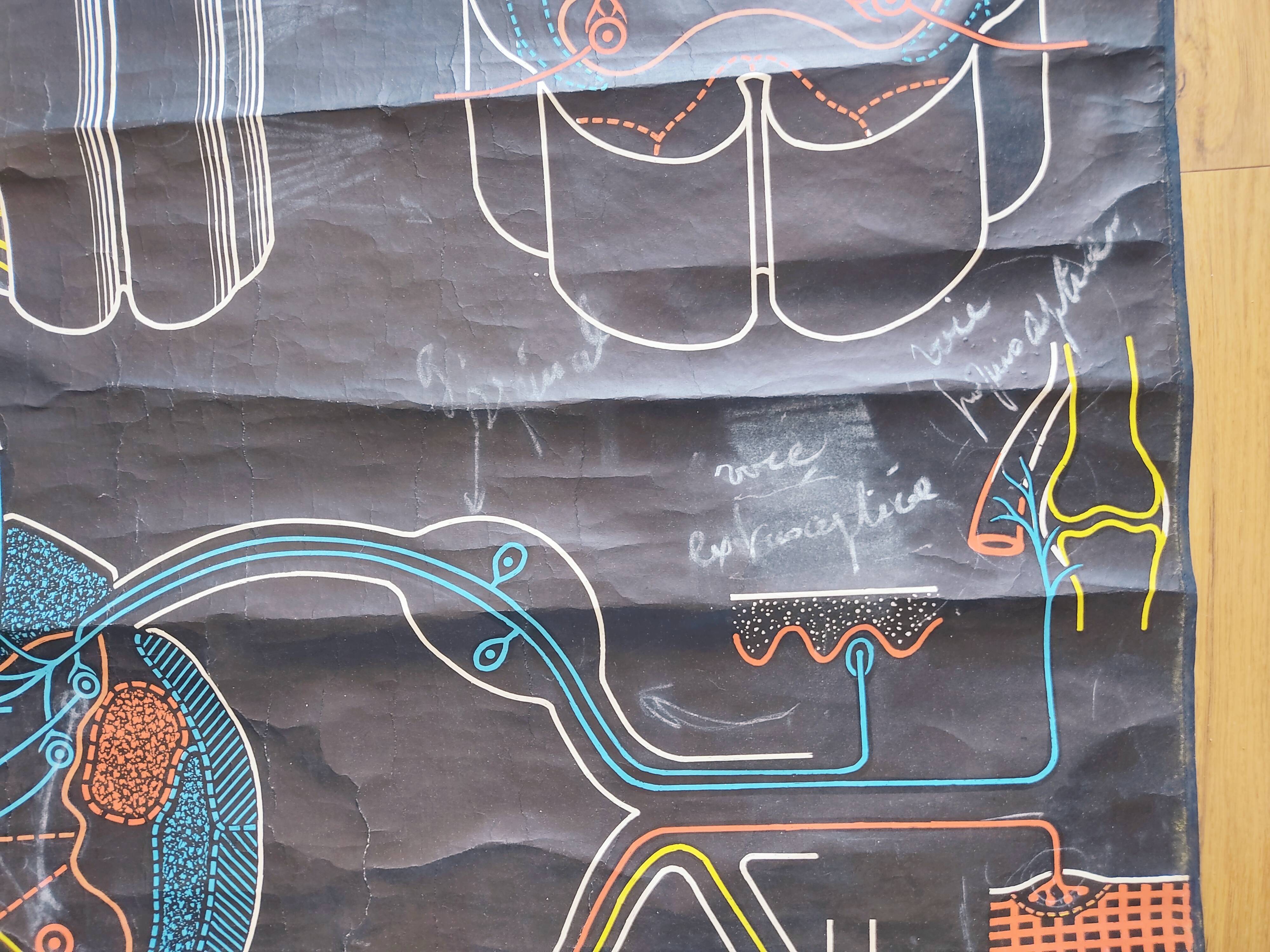 Educational poster La Moëlle épinière Auzoux P. Sougy