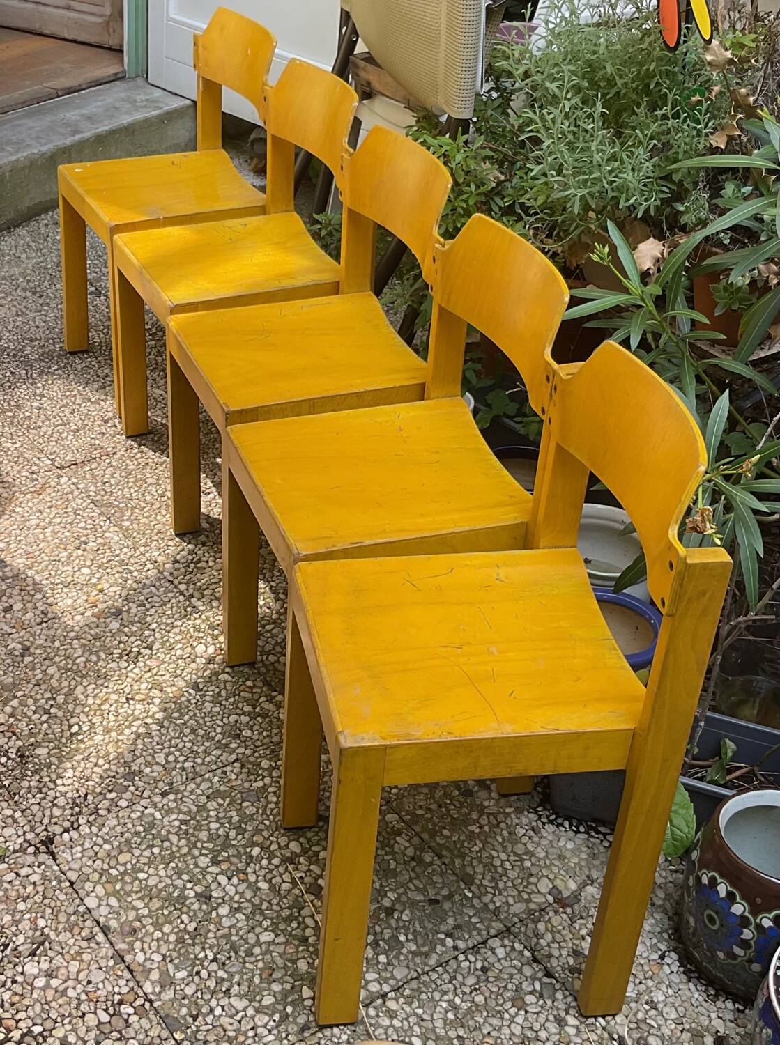 Lot de cinq chaises bois années 50