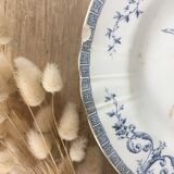 Lot 5 mismatched iron earth flat plates