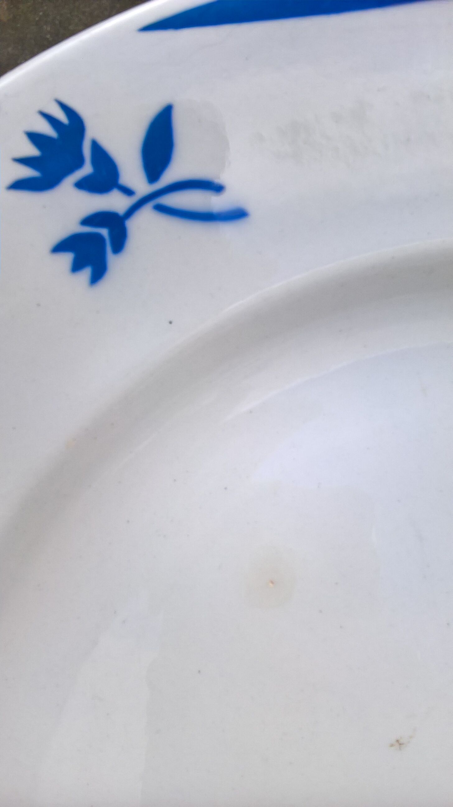 Plate K-G Luneville "Reims" white - blue