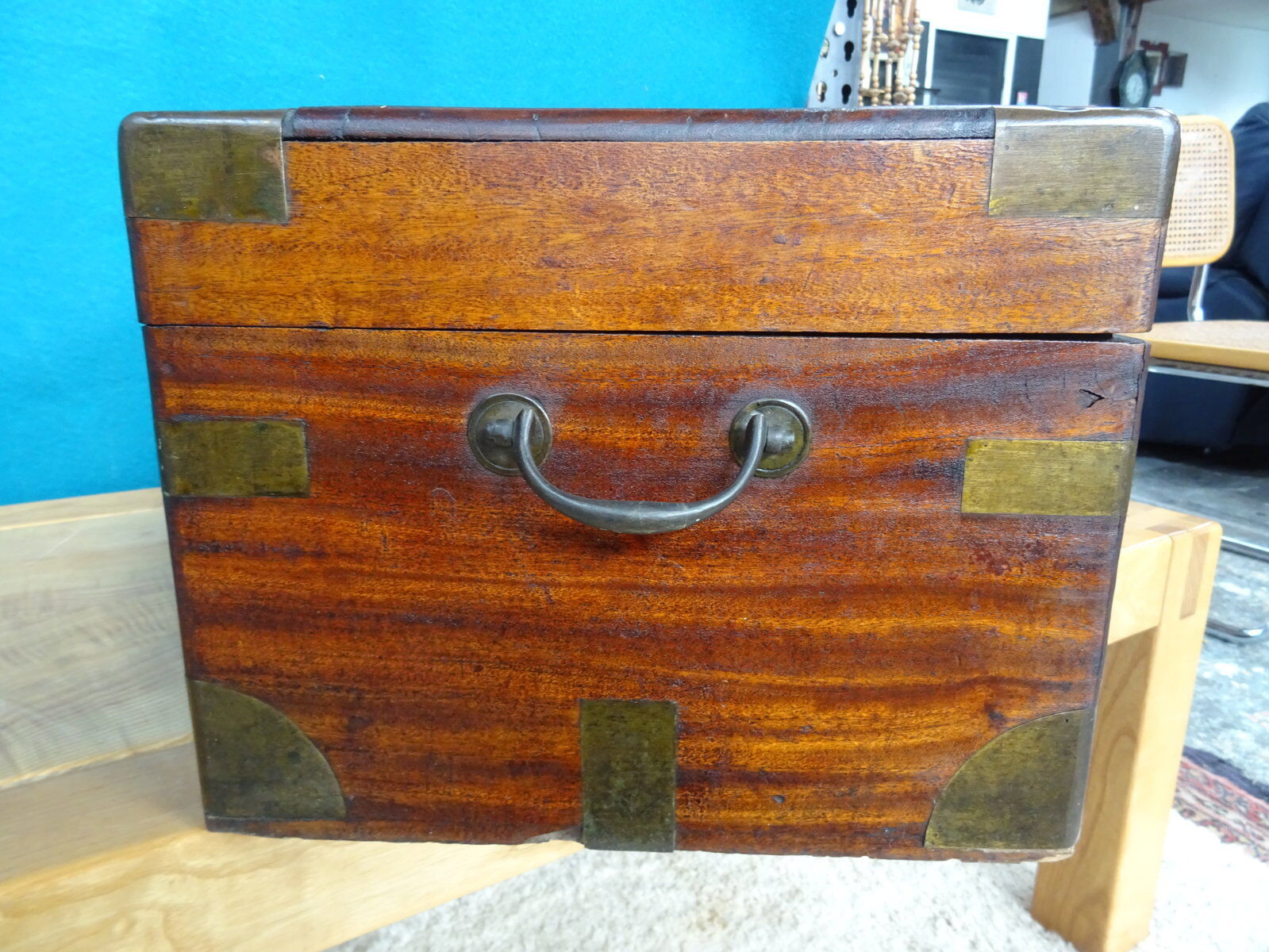 Old marine trunk in camphor tree