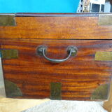 Old marine trunk in camphor tree