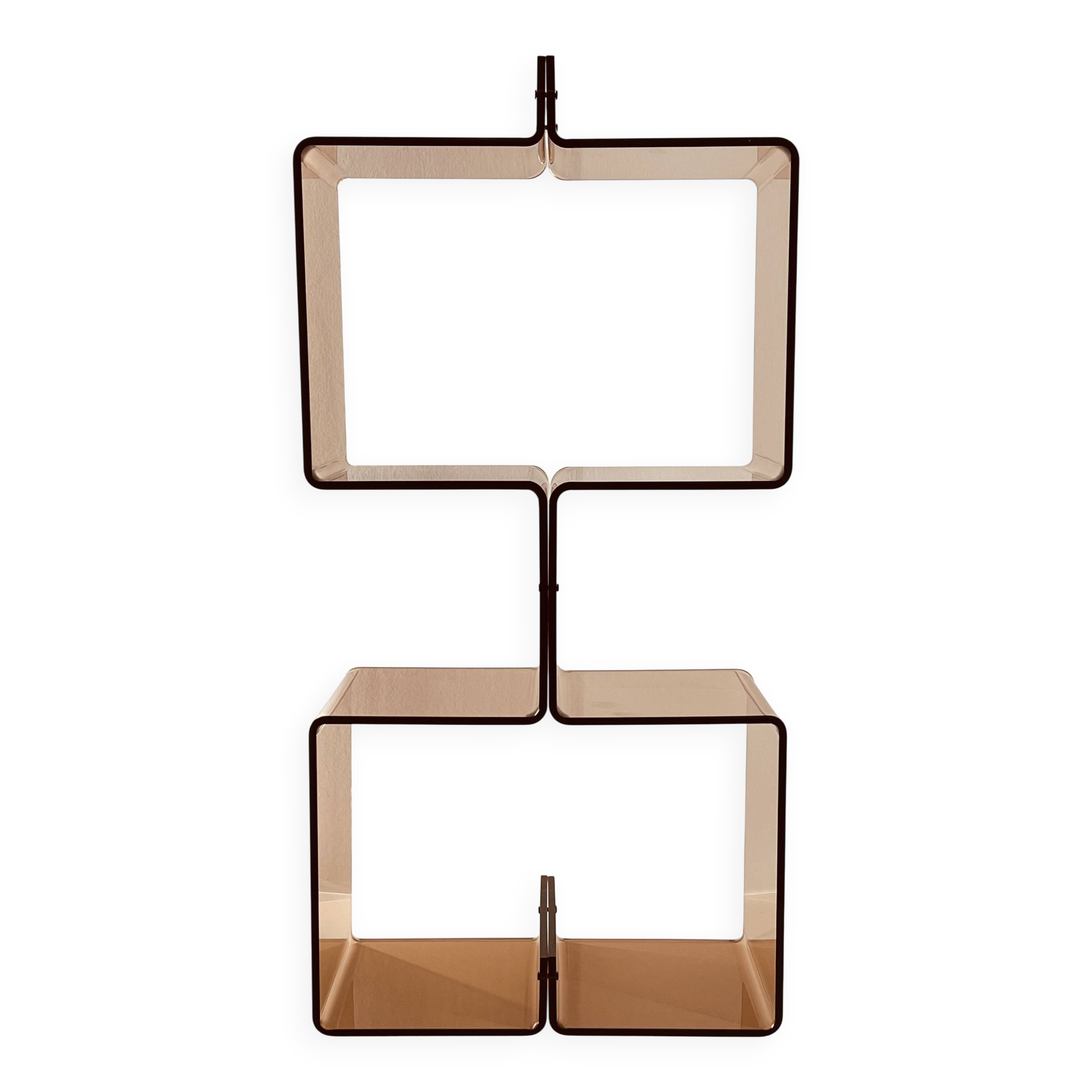 Altuglas bookcase by Michel Dumas, France 1970