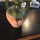 Poterie