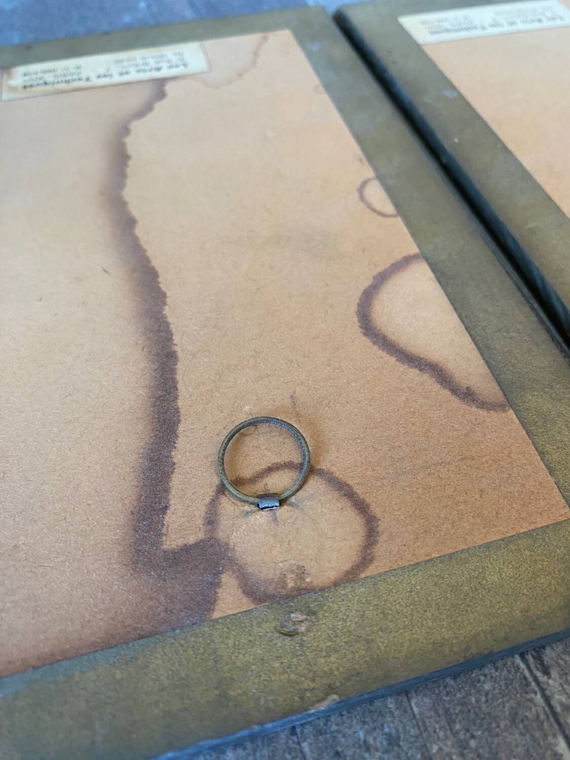 Trio of Japanese ornithological plates