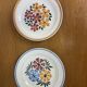 Vintage Montereau Hbcm plate pair