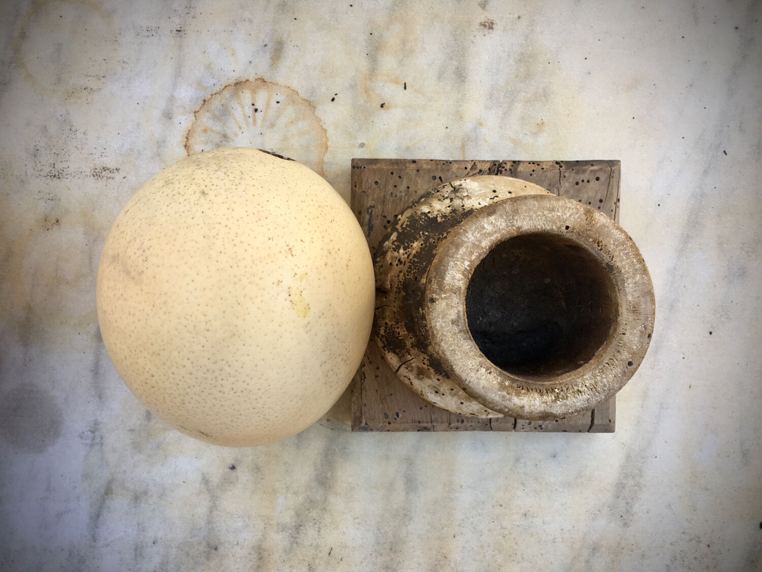 Ostrich egg