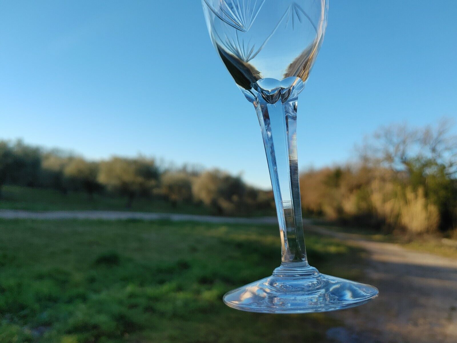 7 Cut Crystal Wine Glasses Faceted leg Baccarat, Saint Louis ??