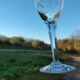 7 Cut Crystal Wine Glasses Faceted leg Baccarat, Saint Louis ??