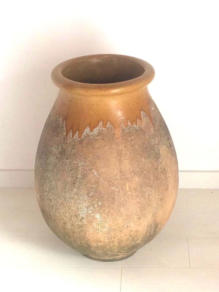 Biot Jar