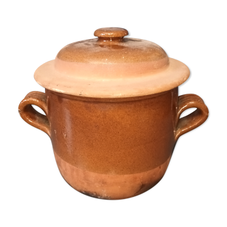 Terracotta pot