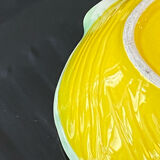 Slush dish