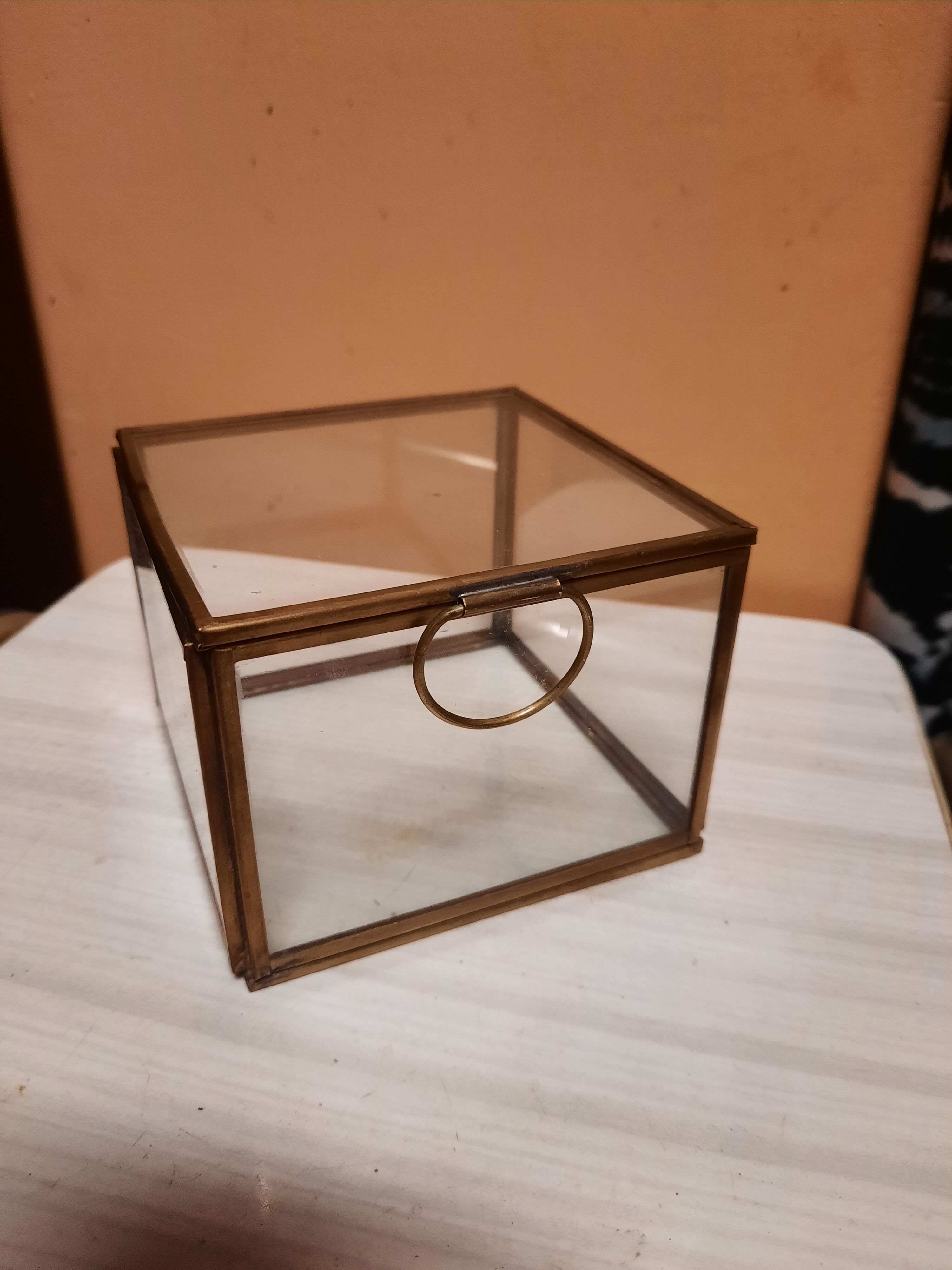 Glass and brass showcase box