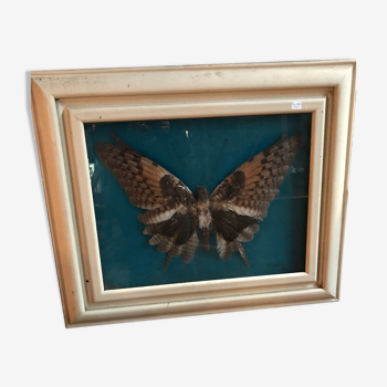 Papillon en plume d'oiseaux  sous verre