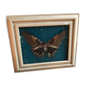 Papillon en plume d'oiseaux  sous verre