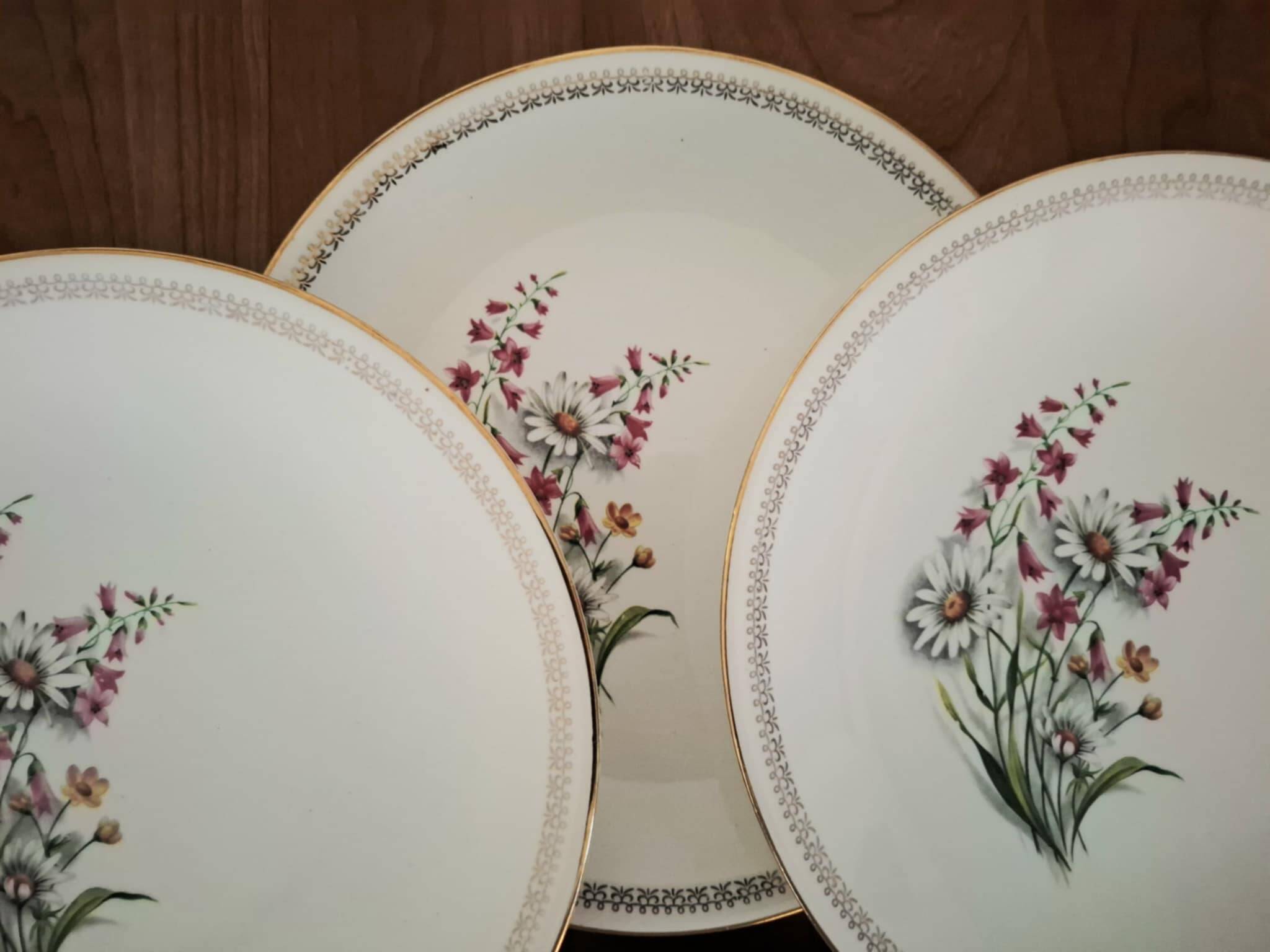 Vintage Floral Pattern Gien Earthenware Dinner Plates