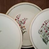 Vintage Floral Pattern Gien Earthenware Dinner Plates