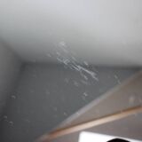 Art Deco Pair of Bedside Tables, 1930s, Czechoslovakia