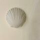 Vintage shell wall lamp, opaline, Limburg Germany 1960