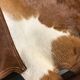 Vintage brazilian cowhide rocking chair, 1950s