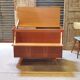 Storage chest or mini bar U459 by Jiri Jiroutek for Interier Praha 1960