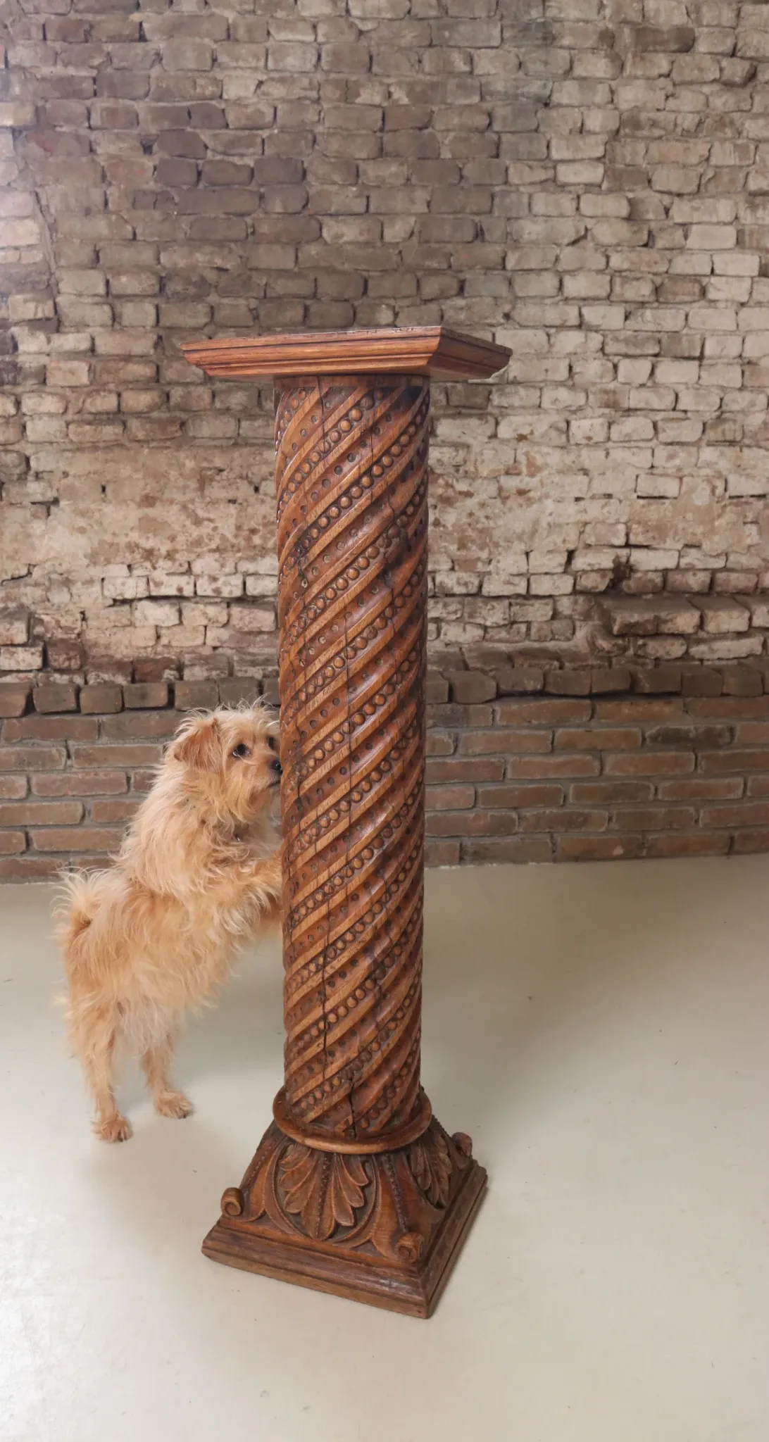 Carved oak column with twisted shaft, beads and acanthus – 19th c.