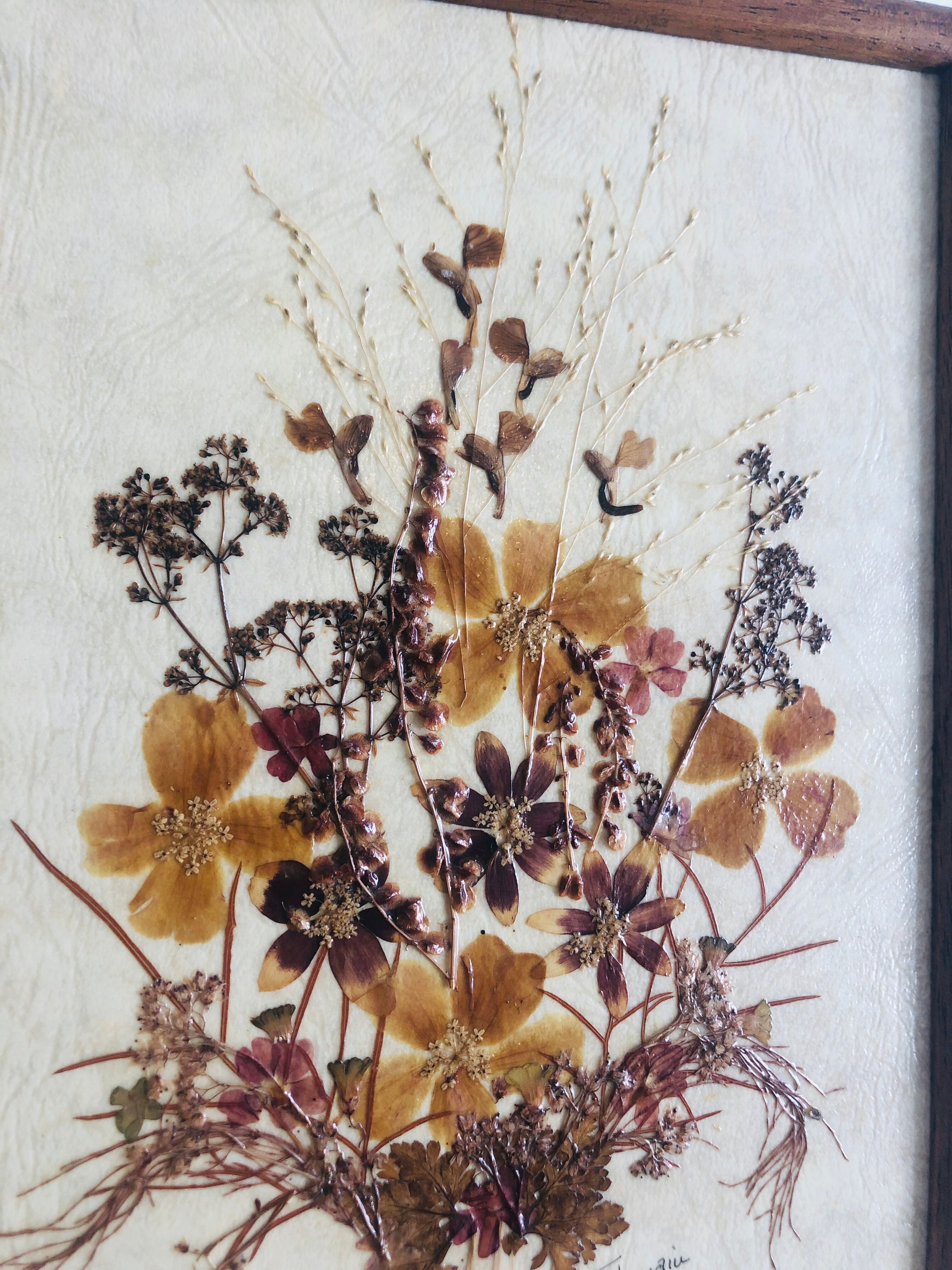 Frame dried flowers