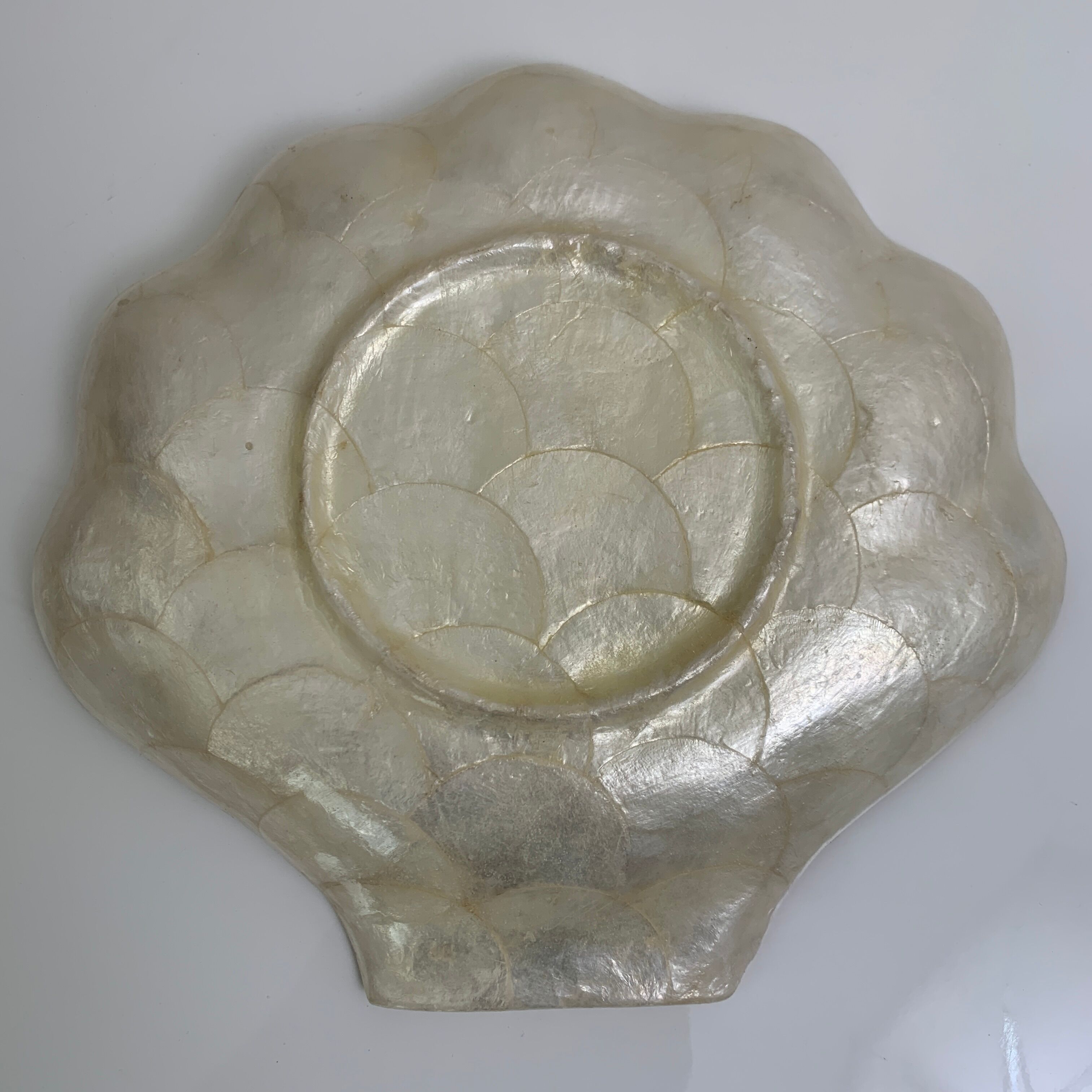 Pocket void shell-shaped shell mother-of-pearl of genuine Capiz
