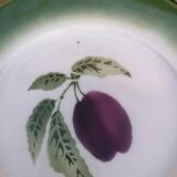 Set of 10 Pexonne Fruit Decor plates
