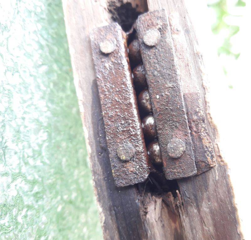 Pair of antique translucent glass sliding doors