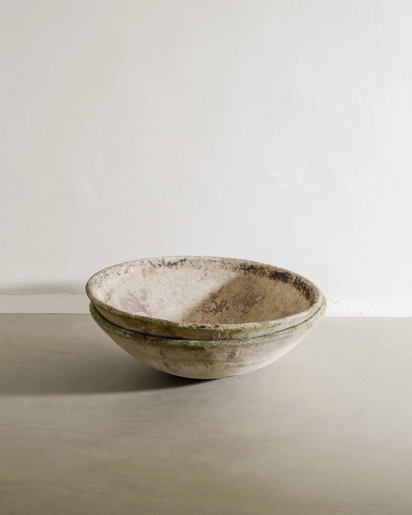 Oversized Mid Century Concrete Planters by Willy Guhl, 1950s