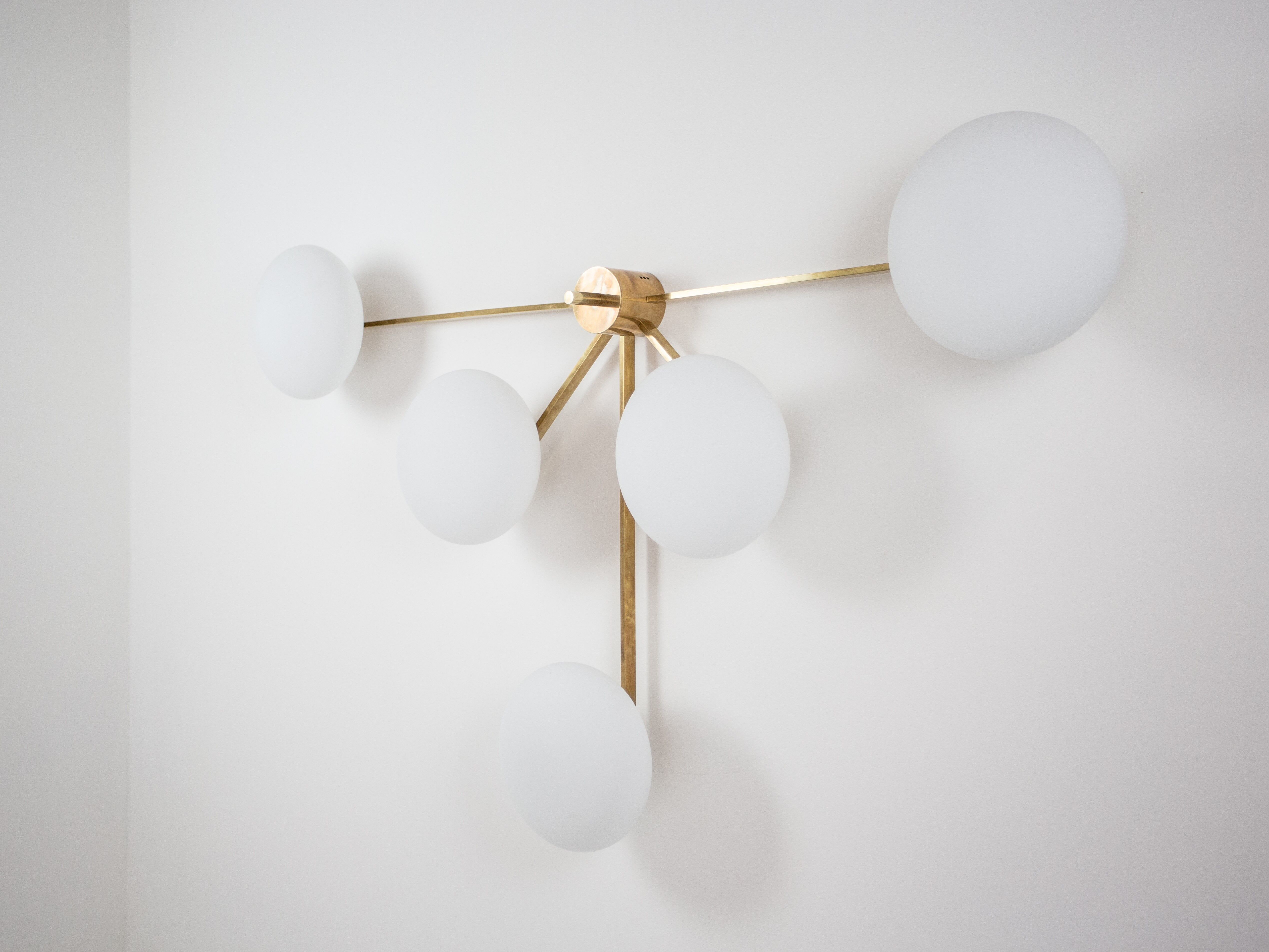 Fan stella collection