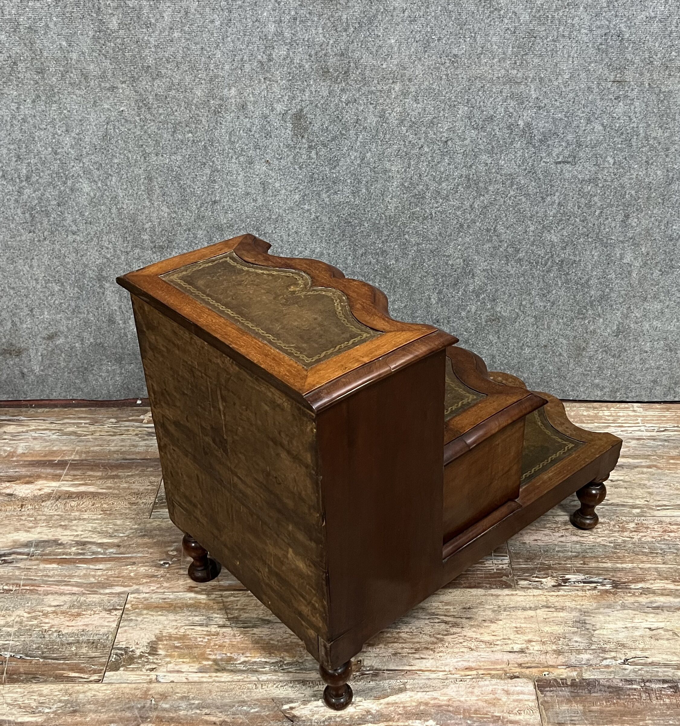 Escalier de bibliothéque avec fonction toilette dissimulée