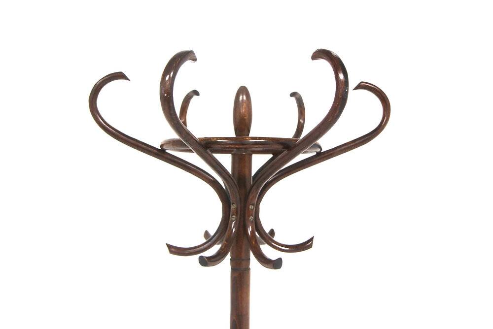Beech parrot coat rack, Sweden, 1960