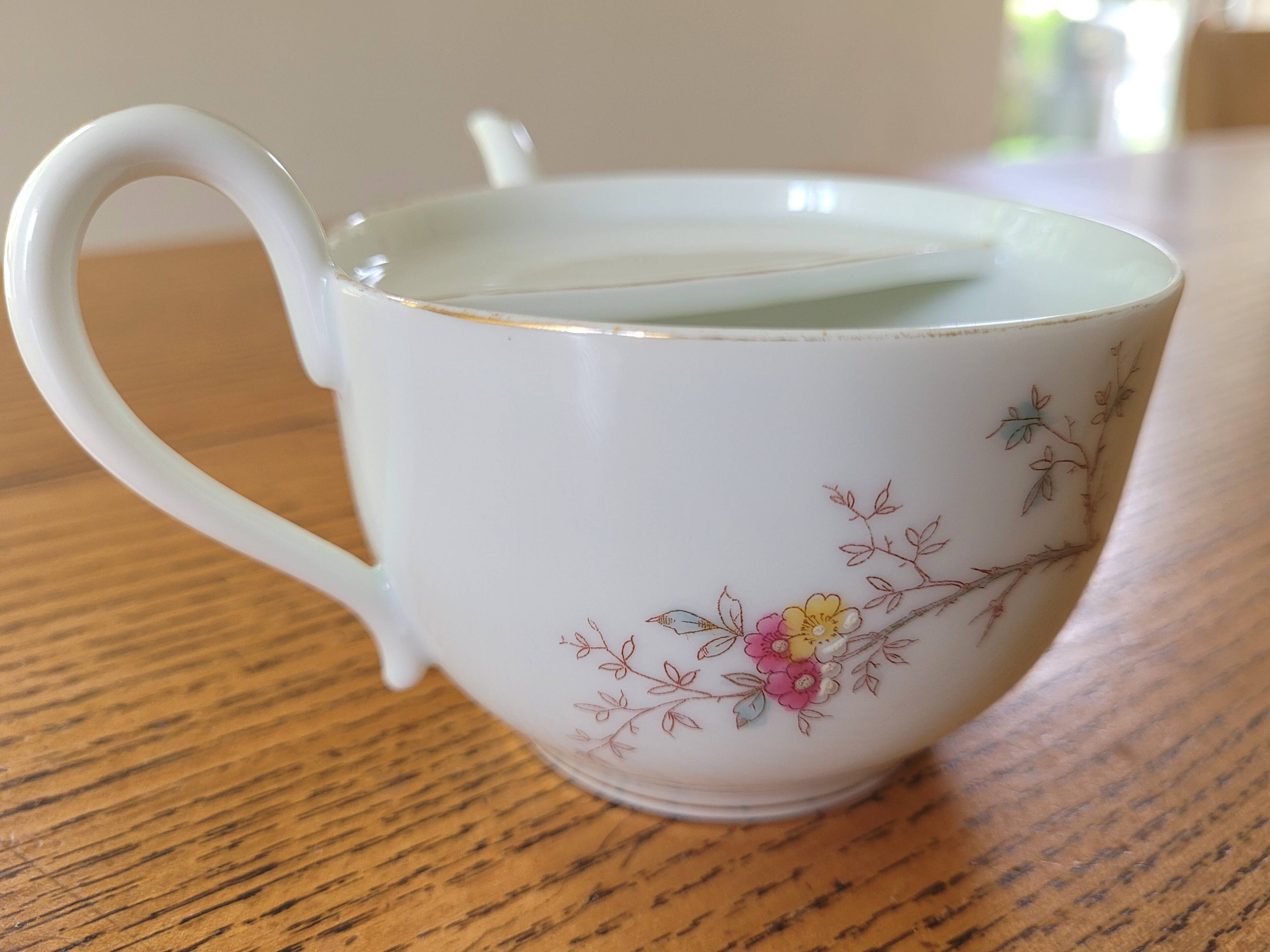 Antique porcelain duck mug for the sick