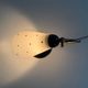 Mid-century bedside lamp in black metal and brass, 1950s, Germany