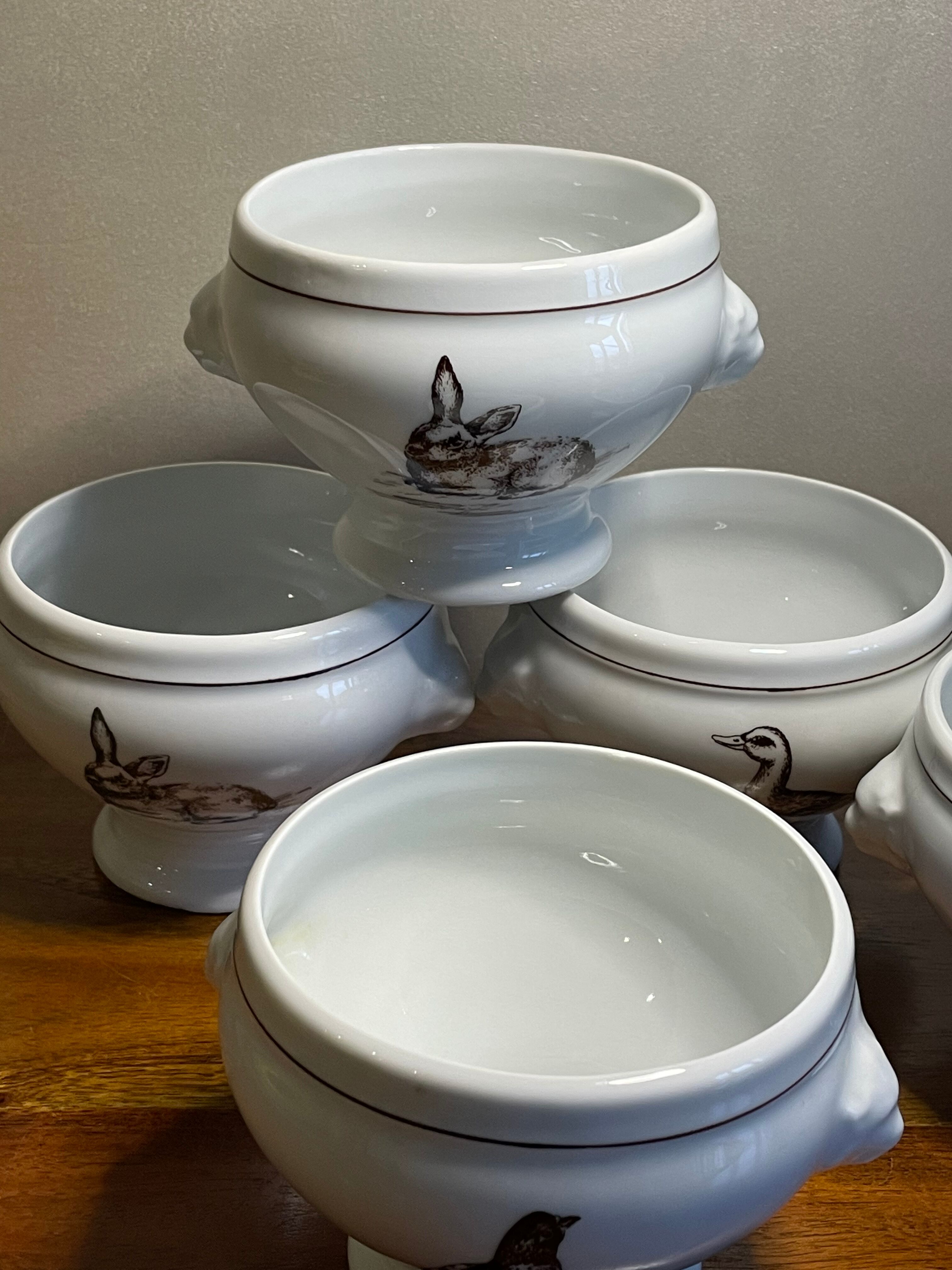 5 bowls to gratin soup porcelain fire Lourioux France