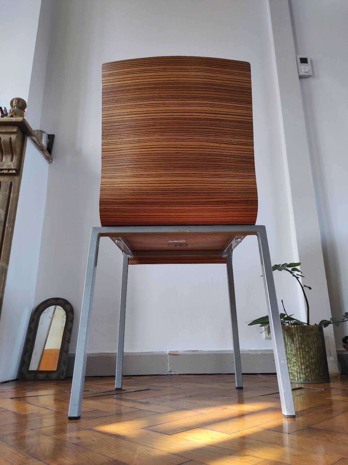 Italian design chair Pedrali "Kuadra" in Zebrano wood